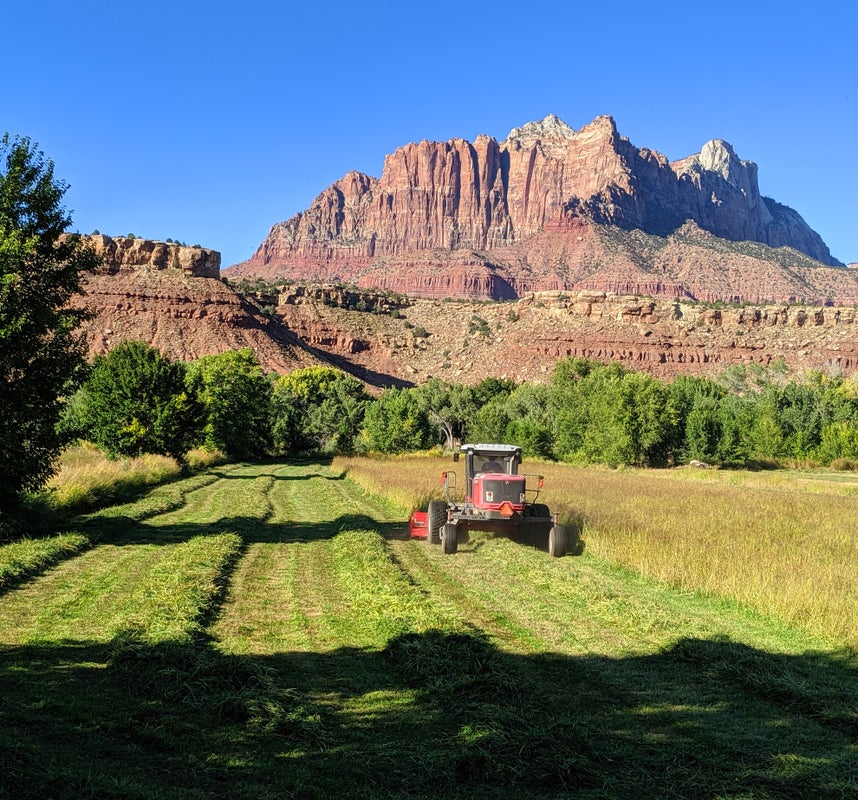 a large green field with a mountain in the background