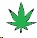 cannabis leaf