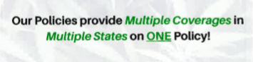 Cannabis coverage banner